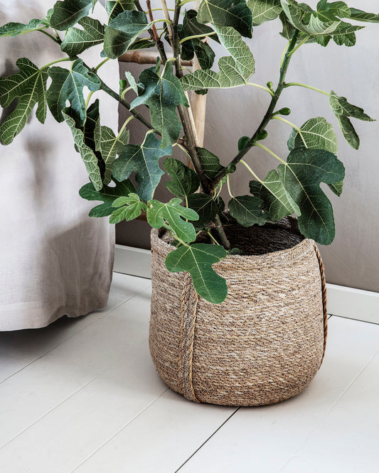 seagrass planter